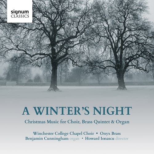 En vinternat - julemusik (CD)