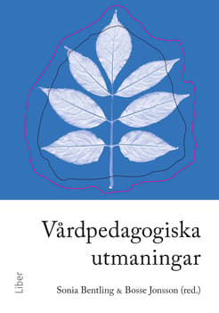 Vårdpedagogiska Utmaningar (Bok / Häftad)