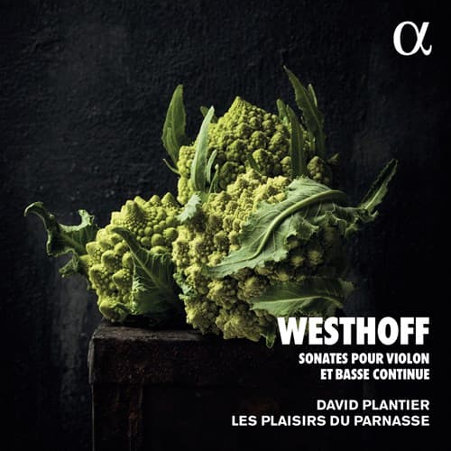 Westhoff: Sonates Pour Violon Et Basse Cont... (CD)