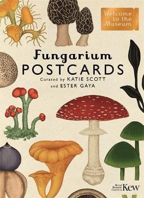 Fungarium-postikortit (Kirja / Muu)