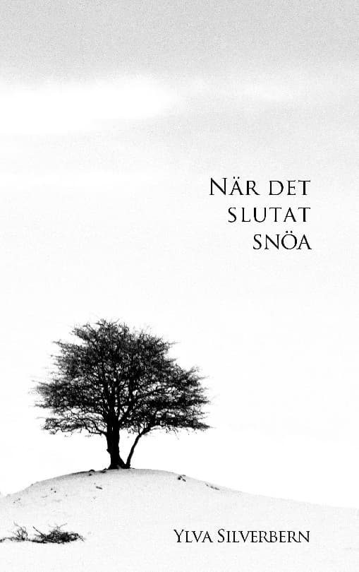 När Det Slutat Snöa (Bok / Häftad)