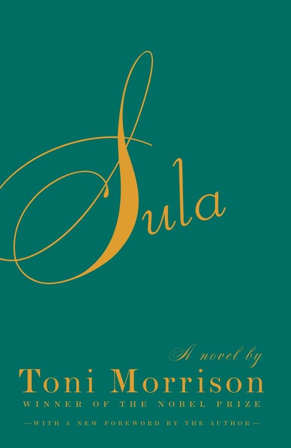 Sula (Kirja / Pokkari)