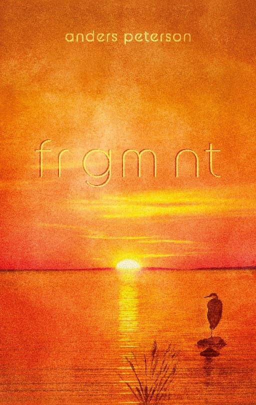 Frgmnt (Kirja / Nidottu)