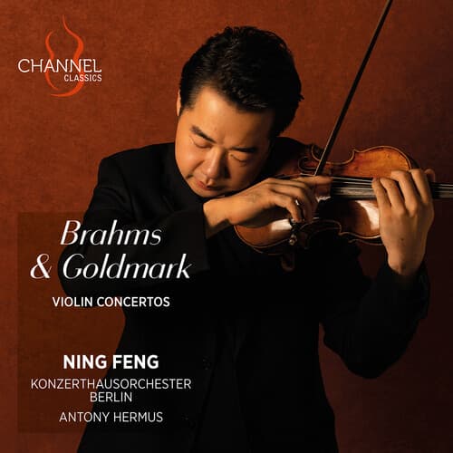 Brahms & Goldmark: Violinkoncerter (CD)