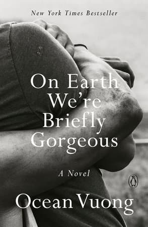 On Earth We're Briefly Gorgeous (Bok / Pocket)