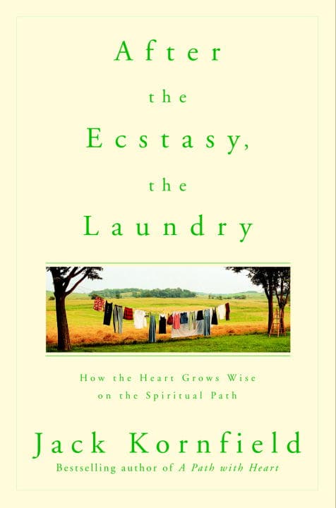 After the Ecstasy, the Laundry (Bok / Pocket)