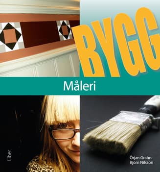 Maalaus (Kirja / Nidottu)