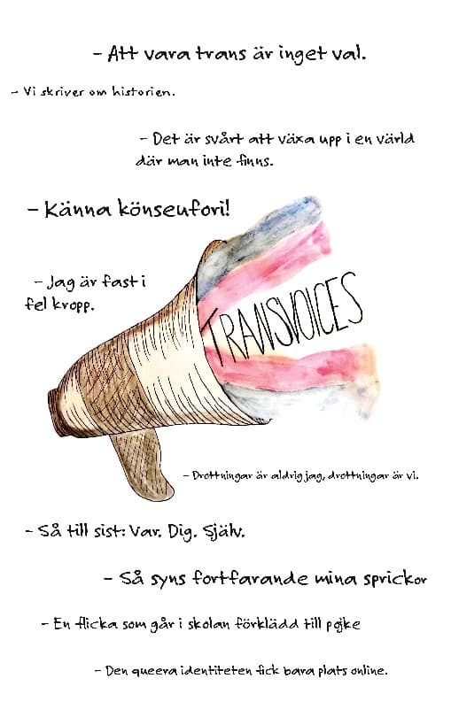 Transvoices (Kirja / Nidottu)