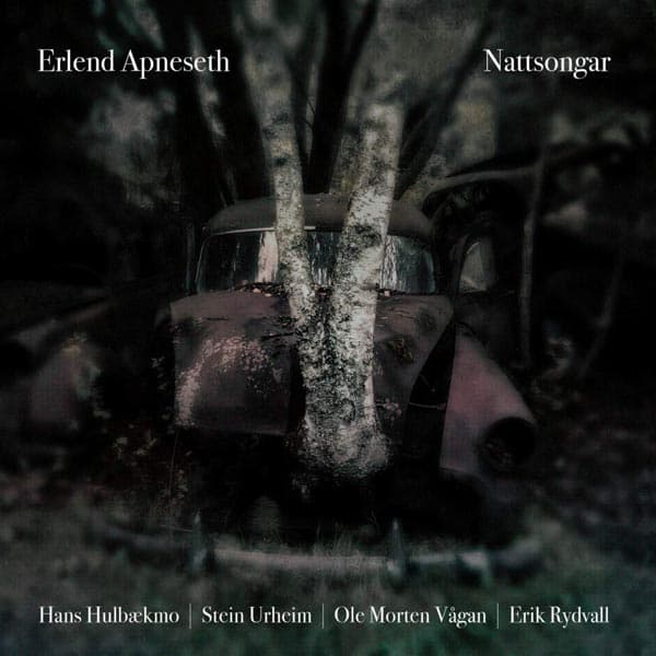 Apneseth Erlend: Nattsongar (CD)