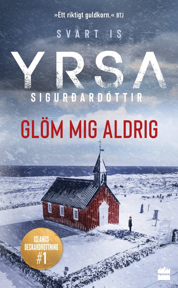 Glöm Mig Aldrig (Bok / Pocket)