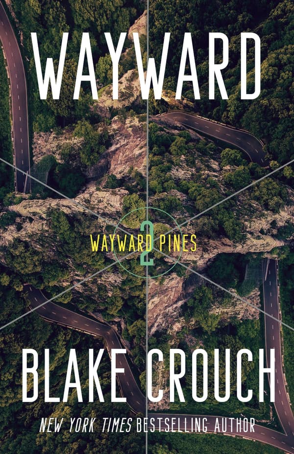 Wayward (Kirja / Nidottu)
