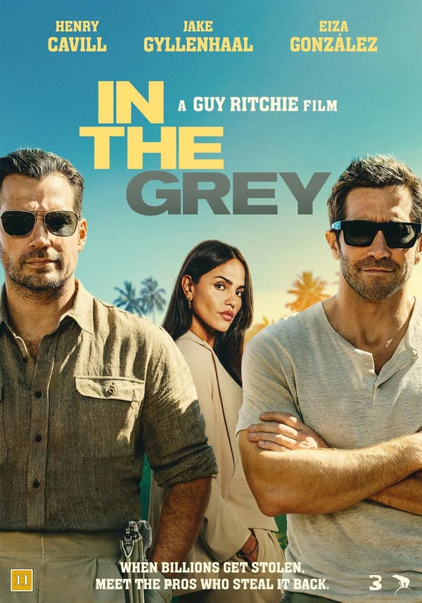 In the Grey (DVD)