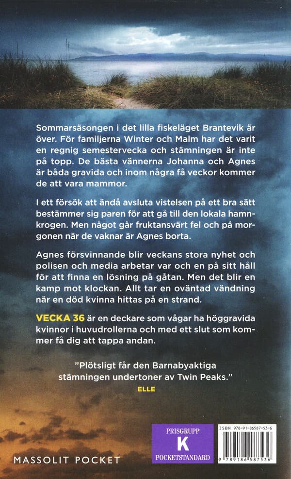 Vecka 36 (Bok / Pocket)
