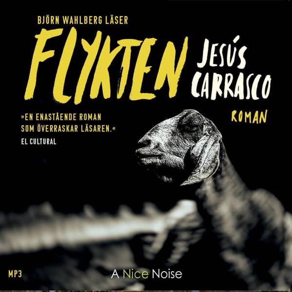 Flykten (Ljudbok / CD)
