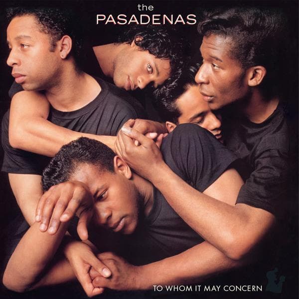 Pasadenas: To Whom It May Concern (Vinyl LP)