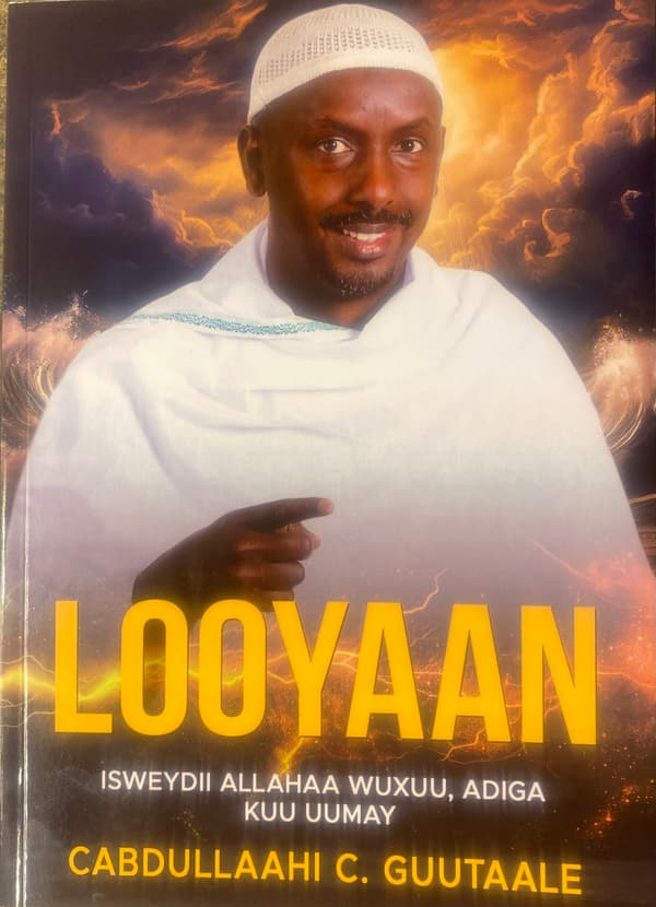 Looyaan (Kirja / Nidottu)