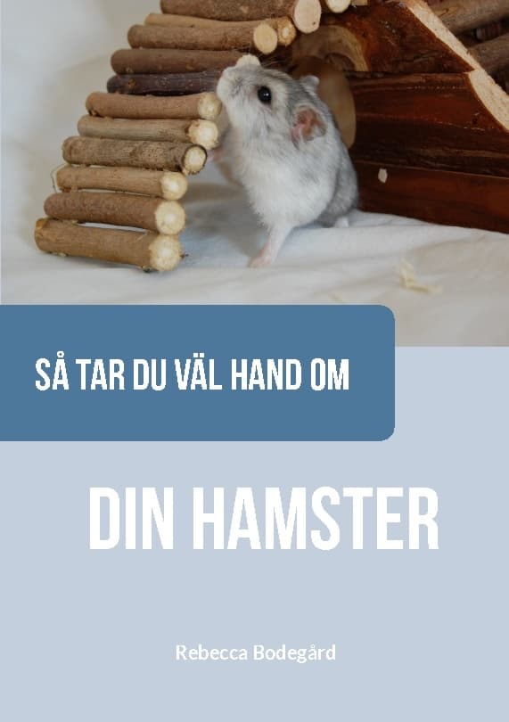 Så Tar Du Väl Hand Om Din Hamster (Bok / Häftad)