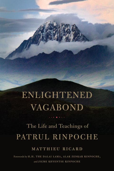 Enlightened Vagabond (Bok / Häftad)