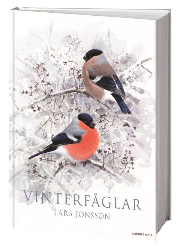 Vinterfåglar (Bok / Inbunden)
