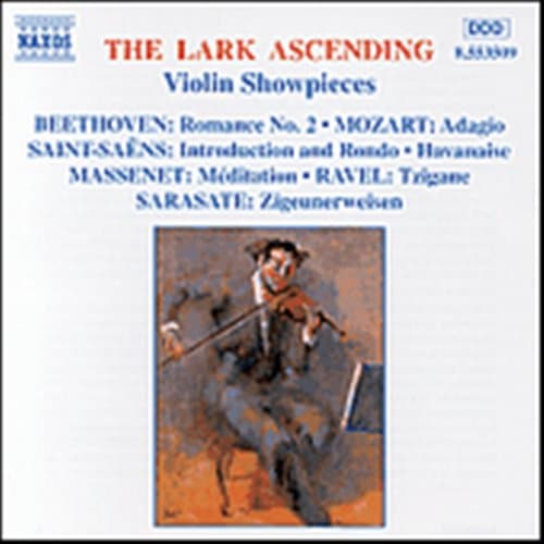 Lark Ascending/Berömda Stycken För Violin (CD)