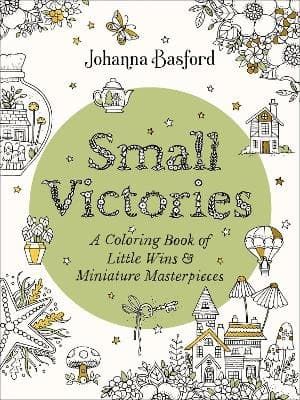 Small Victories (Bok / Häftad)