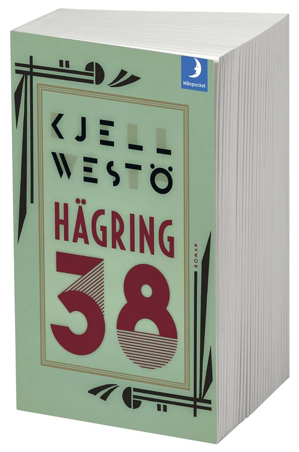 Hägring 38 (Kirja)