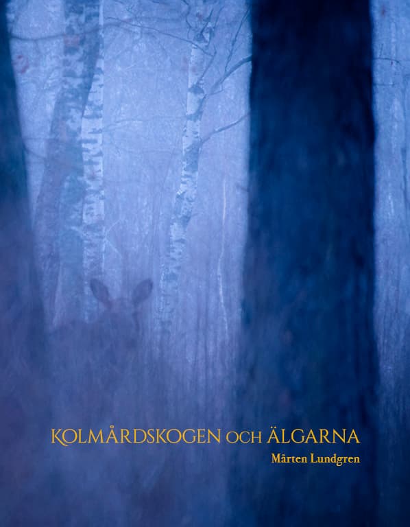 Kolmårdsskogen Och Älgarna (Bok / Inbunden)