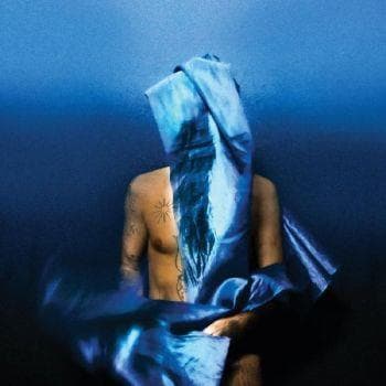 Banhart Devendra: Flying Wig (Vinyyli-LP)