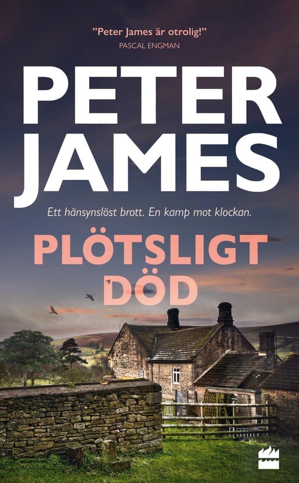 Plötsligt Död (Bok / Pocket)