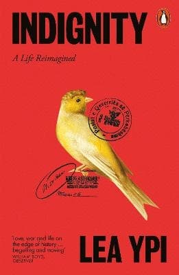 Indignity (Bok / Pocket)
