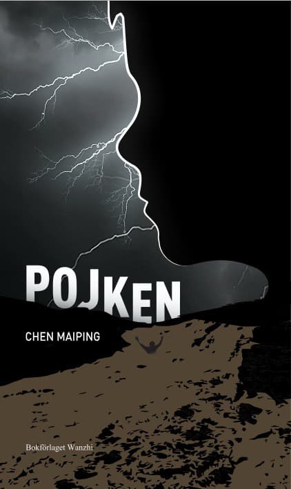 Poika (Kirja / Nidottu)