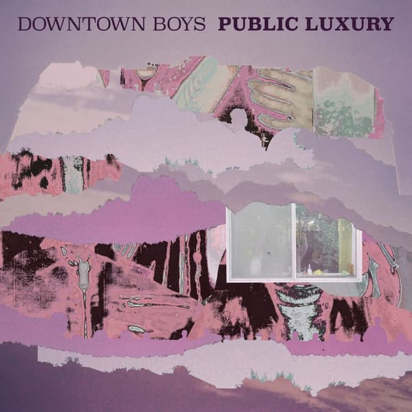 Downtown Boys: Public Luxury (CD)