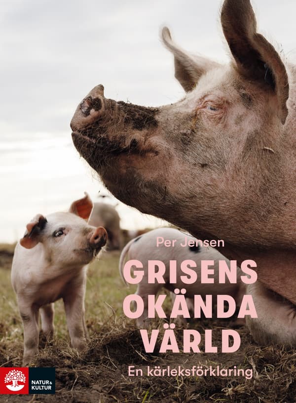 Grisens Okända Värld - En Kärleksförklaring (Bok / Inbunden)