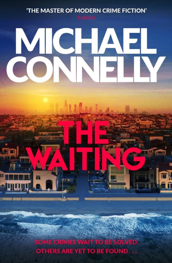 The Waiting (Bok / Pocket)
