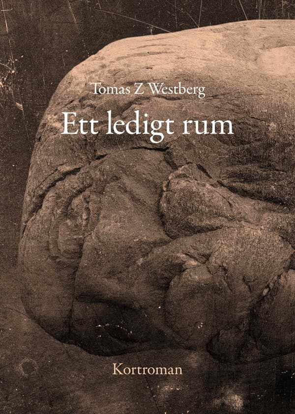 Ett Ledigt Rum (Bok / Danskt band)