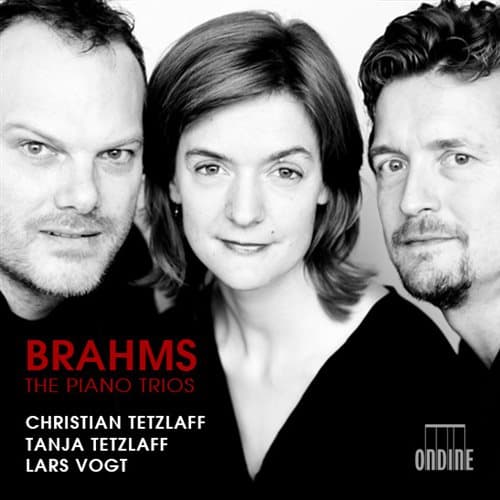 Brahms: Klavertrioer (2 CD)