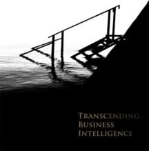 Transcending Business Intelligence (Bok / Häftad)
