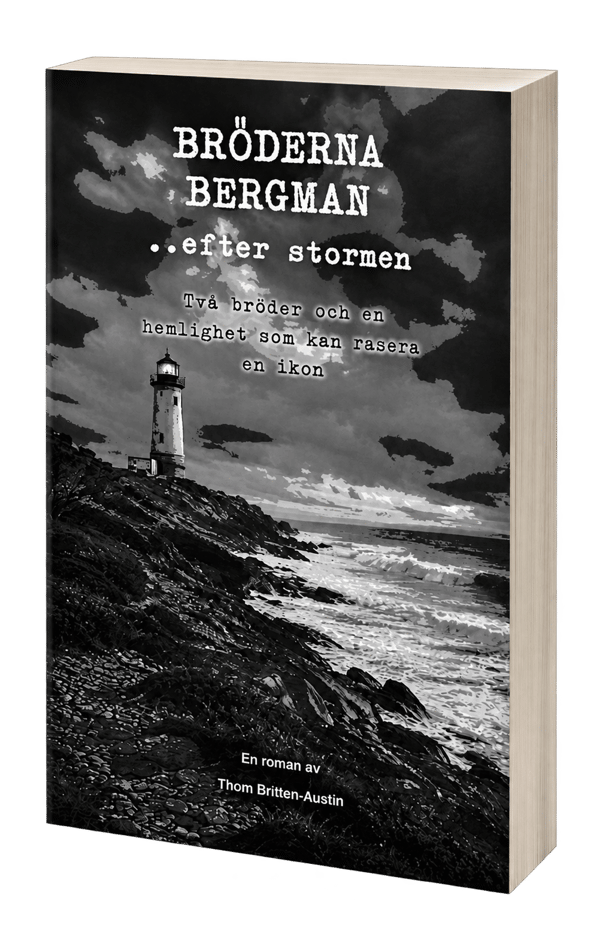 Bröderna Bergman (Bok / Pocket)