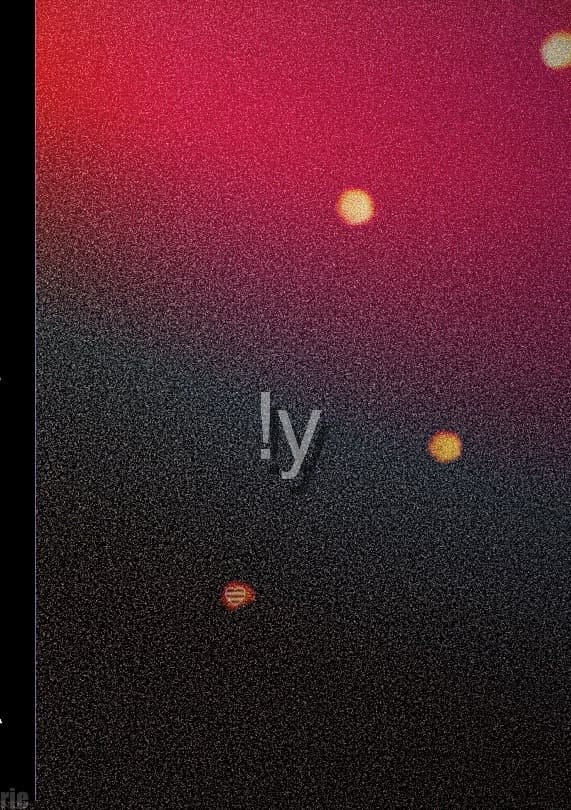 !y (Kirja / Nidottu)