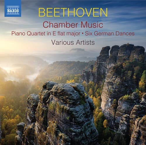 Beethoven: Chamber Music (2 CD)