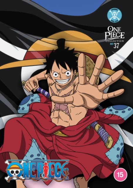 One Piece: Kokoelma 37 (4 DVD)