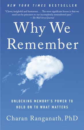 Why We Remember (Bok / Pocket)