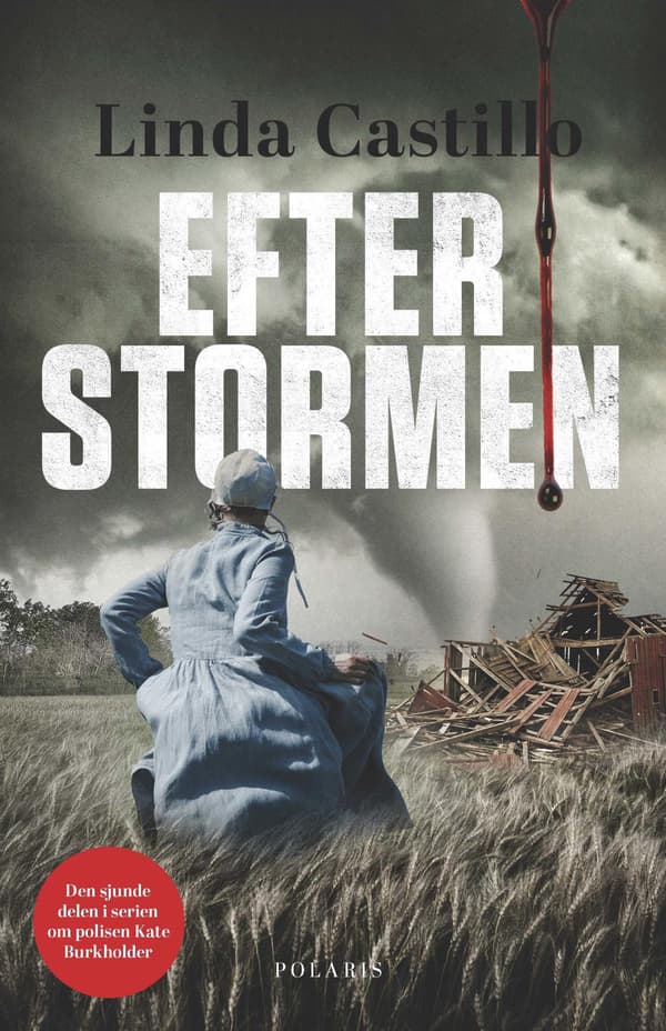 Efter Stormen (Bok / Inbunden)