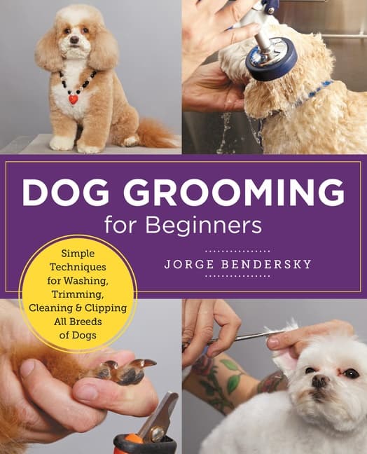 Dog Grooming for Beginners (Bok / Häftad)