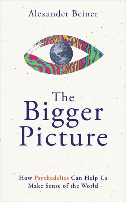 The Bigger Picture (Bok / Häftad)