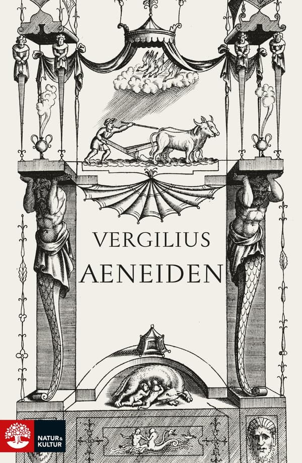 Aeneis (Kirja / Sidottu)