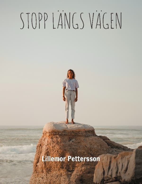 Stopp Längs Vägen - Sverige (Bok / Häftad)