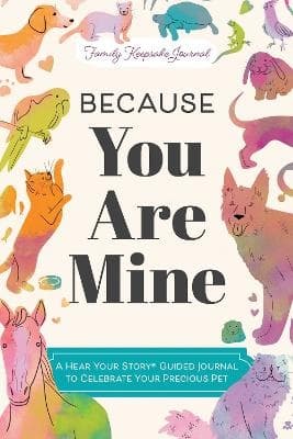 Because You Are Mine (Bok / Pocket)