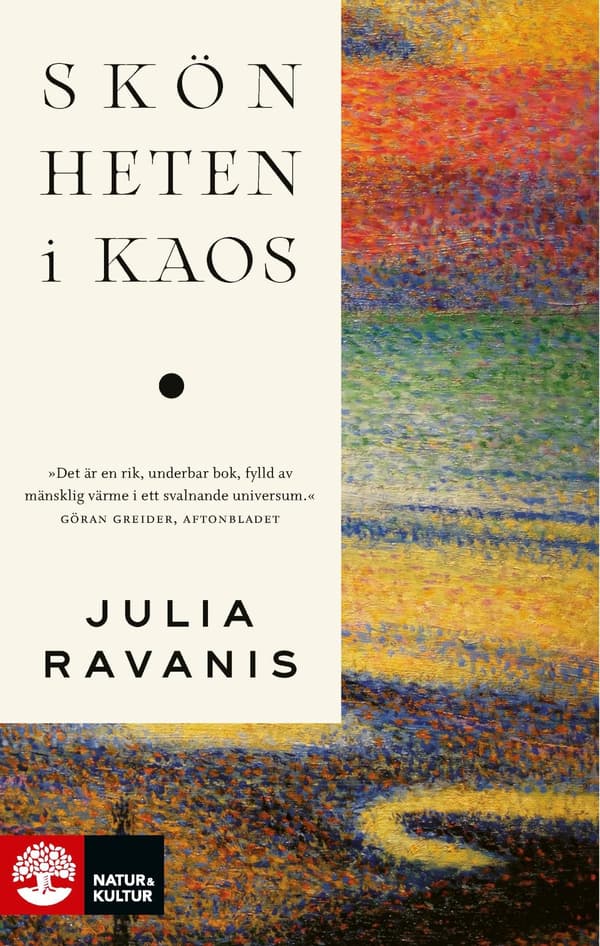 Skönheten I Kaos (Bok / Pocket)