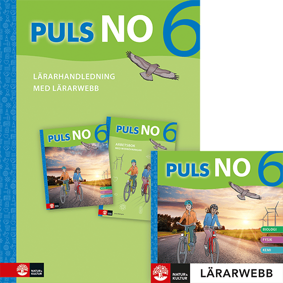 Puls No Åk 6 Lärarhandledning Med Lärarwebb (Bok / Spiral)